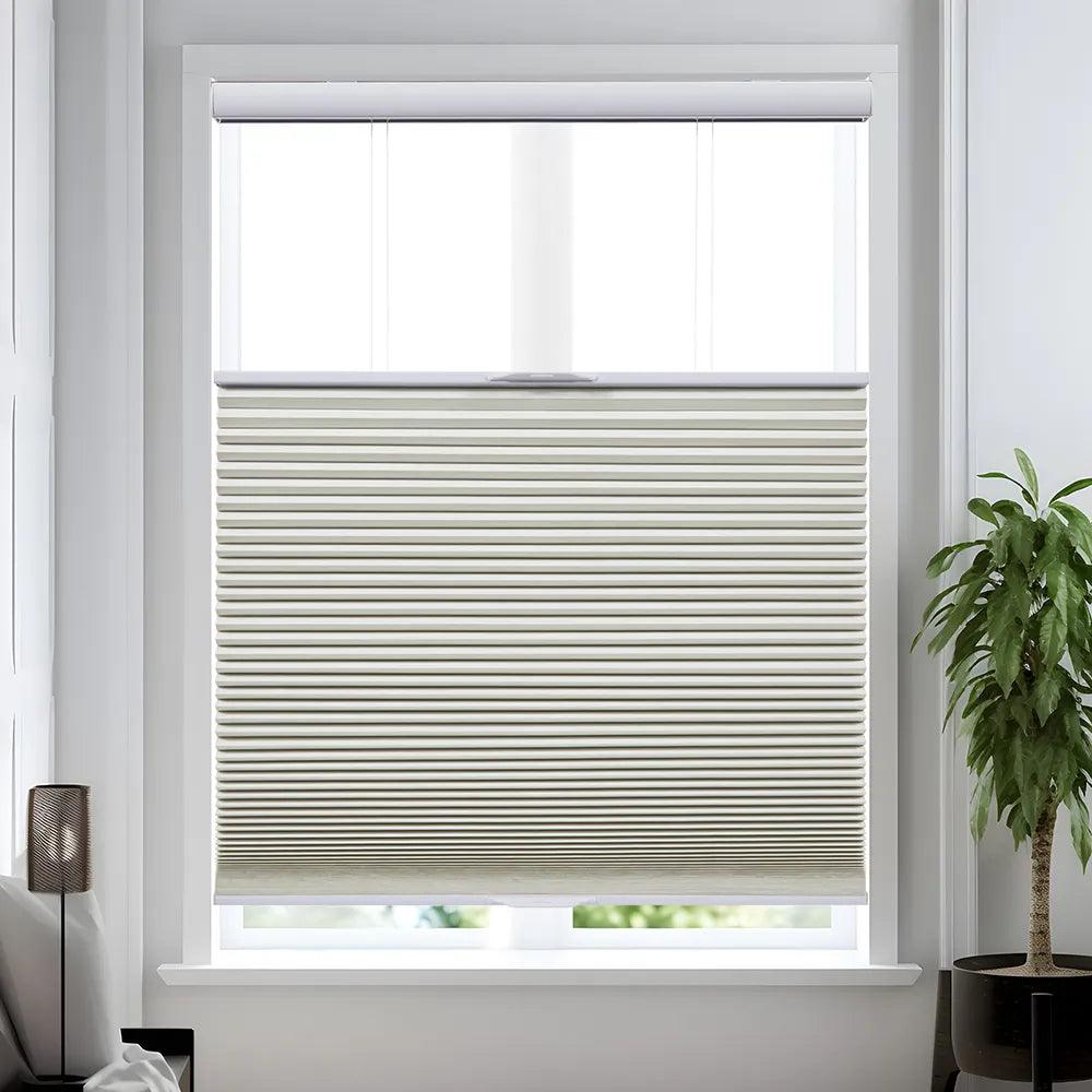 Cornsilk